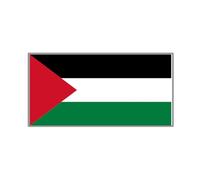 Eye Catching Palestine Map Pin Unique Palestine Map Badge Small Pins Brooches Jewelry Commemorative Gifts Flag Lapel Pin
