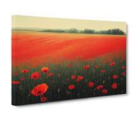 Eye Catching Poppy Field Flowers Canvas Wall Art Print 30x20 Inch