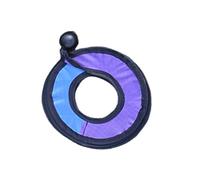 Eye Catching Rainbow Garden Spinner, S