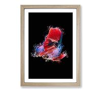 Eye-Catching Red & Blue Fish in Abstract Framed Print | A2 Oak Framed Wall Art | Ready to Hang | Abstract Animal Picture | Living Room Bedroom Lounge Office