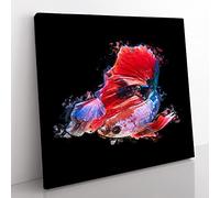 Eye Catching Red & Blue Fish in Abstract Modern Canvas Wall Art Print Ready to Hang, Framed Picture for Living Room Bedroom Home Office Décor, 35x35 cm (14x14 Inch)
