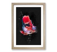 Eye-Catching Red & Blue Fish Paint Splash Framed Print | A2 Oak Framed Wall Art | Ready to Hang | Modern Animal Picture | Living Room Bedroom Lounge Office