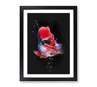 Eye Catching Red & Blue Fish Paint Splash Modern Framed Print | A2 Black Framed Wall Art | Ready to Hang | Modern Animal Picture | Living Room Bedroom Lounge Office