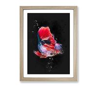 Eye Catching Red & Blue Fish Paint Splash Modern Framed Print | A2 Oak Framed Wall Art | Ready to Hang | Modern Animal Picture | Living Room Bedroom Lounge Office