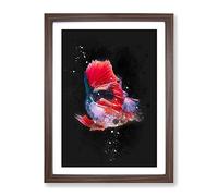 Eye Catching Red & Blue Fish Paint Splash Modern Framed Print | A4 Walnut Framed Wall Art | Ready to Hang | Modern Animal Picture | Living Room Bedroom Lounge Office