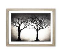 Eye Catching Trees Framed Print | A2 Oak Framed Wall Art | Ready to Hang | Modern Floral Picture | Living Room Bedroom Lounge Office