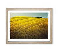 Eye Catching Wheat Field Framed Print | A2 Oak Framed Wall Art | Ready to Hang | Modern Nature Picture | Living Room Bedroom Lounge Office