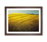 Eye Catching Wheat Field Framed Print | A2 Walnut Framed Wall Art | Ready to Hang | Modern Nature Picture | Living Room Bedroom Lounge Office
