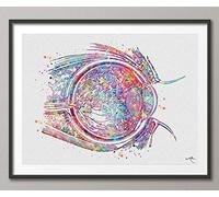 Eye Cross Section Watercolor Print Eye Anatomy Optometrist Optician Poster Medical Art Ophthalmology Eye Ball Doctor Office Wall Art-179