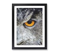 Eye Of An Owl Painting Modern Framed Wall Art Print, Ready to Hang Picture for Living Room Bedroom Home Office Décor, Black A2 (64 x 46 cm)