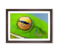 Eye of The Frog in Abstract Framed Print | A2 Walnut Framed Wall Art | Ready to Hang | Abstract Animal Picture | Living Room Bedroom Lounge Office