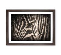 Eye of The Zebra in Abstract Framed Print | A2 Walnut Framed Wall Art | Ready to Hang | Abstract Animal Picture | Living Room Bedroom Lounge Office