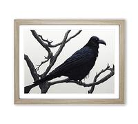 Eye Opening Raven Bird Framed Wall Art Print A2 Oak