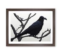 Eye Opening Raven Bird Framed Wall Art Print A2 Walnut