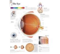 Eye Paper Poster