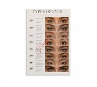 Eye Shape Makeup Tutorial Reference Poster