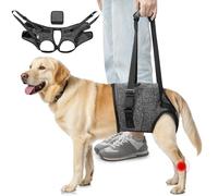 Eyein Adjustable Dog Lifting Harness - Comfortable Dog Sling Hip Support for Back Legs, Soft Hind Assistance Vest for Senior, Injured, Arthritic, Disabled and Aid After Acl Surgery(Grey,XL)