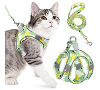Eyein Cat Harness and Lead Set for Walking, Adjustable Soft Sturdy Faux Suede Escape Proof Kitten Vest Harness and leash with Reflective Strip for Large Medium Small Cats(Small, Flowers Green)