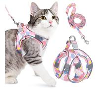 Eyein Cat Harness and Lead Set for Walking, Adjustable Soft Sturdy Faux Suede Escape Proof Kitten Vest Harness and leash with Reflective Strip for Large Medium Small Cats(X-Small, Flowers Pink)