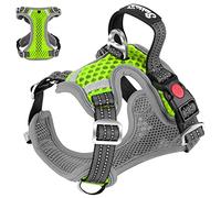 Eyein Dog Harness Large, Air Mesh Breathable Adjustable Reflective Vest, No Pull Escape Proof Sports Puppy Harness with Lockable Buckle & Padded Soft Handle for Training or Walking (Green,XL)