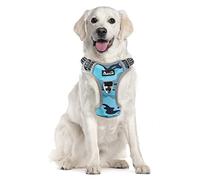 Eyein Dog Harness Large Dog, Anti Pull Adjustable Heavy Duty Pet Puppy Vest with 2 Clips, Easy Control Escape Proof with Soft Padded Handle Reflective for Outdoor Training Walking, L