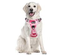 Eyein Dog Harness Large Dog, Anti Pull Adjustable Heavy Duty Pet Vest with 2 Clips, Easy Control Escape Proof Puppy Harness with Soft Padded Handle Reflective for Outdoor Training Walking, XL