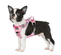 Eyein Dog Harness Medium, Anti Pull Adjustable Heavy Duty Pet Vest with 2 Clips, Easy Control Escape Proof Puppy Harness with Soft Padded Handle Reflective for Outdoor Training Walking, M