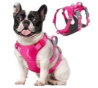 Eyein Escape Proof Dog Harness Small Dog - No Pull Harness for Dogs with Front Clip Lightweight Durable, No Choke Lifting Harness with Chest Belly Support for Small Medium Large Breeds, XS