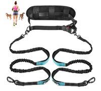 Eyein Hands Free Dog Lead - Anti Pull Dog Running Lead with Removable Pouch, Reflective Bungee Pet Leash with Dual Handle, Adjustable Waist Pet Training Leash for Medium and Large Breeds(L,for 2 Dogs)