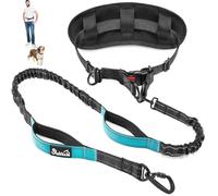 Eyein Hands Free Dog Lead - Anti Pull Dog Running Lead with Removable Pouch, Reflective Bungee Pet Leash with Dual Handle, Adjustable Waist Pet Training Leash for Medium and Large Breeds(XL)