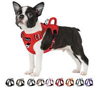 Eyein Medium Dog Harness, Anti-Pull Adjustable Heavy Duty Pet Vest with 2 Clips, Escape-Proof Puppy Harness with Soft Padded Handle, Reflective for Outdoor Training & Walking