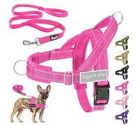 Eyein No Pull Harness for Dogs - Heavy Duty Soft Padded Pet Vest and Lead Set for Medium Large Dog, Adjustable Reflective Anti-pull with Front Clip for Walking Training(Fuchsia,S)