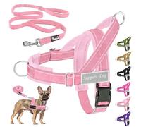 Eyein No Pull Harness for Dogs - Heavy Duty Soft Padded Pet Vest and Lead Set for Medium Large Dog, Adjustable Reflective Anti-pull with Front Clip for Walking Training(Pink,XL)