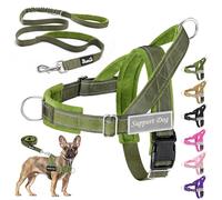 Eyein No Pull Harness for Dogs - Heavy Duty Soft Padded Pet Vest and Lead Set for Medium Large Dog, Adjustable Reflective Anti-pull with Front Clip for Walking Training (Green,M)