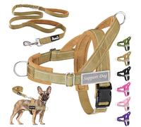 Eyein No Pull Harness for Dogs - Heavy Duty Soft Padded Pet Vest and Lead Set for Medium Large Dog, Adjustable Reflective Anti-pull with Front Clip for Walking Training(Yellow,M)