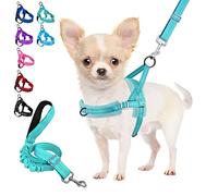 Eyein No Pull Small Dog Harness & Lead, Heavy Duty Soft Padded Reflective Adjustable Puppy Harness Anti-Twist Pet Lead Quick Fit for Small Dog Cat Animal (Light Green, XS)