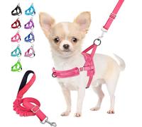 Eyein Small Dog Harness and Lead Set, No Pull Soft Padded Pet Vest, Reflective, Adjustable, Easy for Walk, Quick fit for Small Puppy Cat Kitten (Pink, XXS)