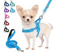 Eyein Small Dog Harness and Lead Set, No Pull Soft Vest with Front Clip