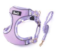 Eyein Small Dog Harness and Lead Set - Soft Mesh Breathable Dog Harness for Extra Small Dogs Kitten, No Pull Escape Proof No Chock Step-in Puppy Vest Lightweight(Purple,XS)