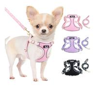 Eyein Small Dog Harness and Lead Set - Soft Mesh Breathable Dog Harness for Extra Small Dogs Kitten, No Pull Escape Proof No Chock Step-in Puppy Vest Lightweight(Pink,XXS)