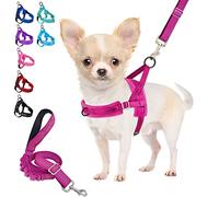 Eyein Small Dog Harness & Lead, Heavy Duty Soft Padded Reflective Adjustable Puppy Harness Anti-Twist Pet Lead Quick Fit for Small Dog Cat Animal (Fuchsia, XXS)