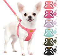 Eyein Small Dog Harness & Lead Sets, Lightweight Adjustable Soft Dog Harness for Puppy Dog, No Pull Escape Proof Breathable Easy Fit Pet Vest for Small Medium Dogs Cats(Pink,XS)