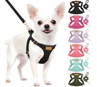 Eyein Small Dog Harness & Lead Sets, Lightweight Adjustable Soft Dog Harness for Puppy Dog, No Pull Escape Proof Breathable Easy Fit Pet Vest for Small Medium Dogs Cats(Black,XXS)