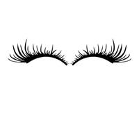 Eyelid Spoiler 2PCS Car False Eye Lash Funny Eyelash Headlight Sticker Eyelashes Auto Head Lamp Decoration Decals Auto Accessories(Black)