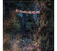 Eyelids - Accidental Falls