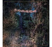 EYELIDS - ACCIDENTAL FALLS THE - New CD - N4z