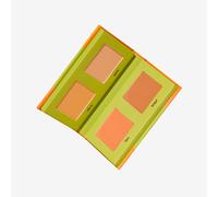 Eyelights Brightening Powder Palette Firelight 17.2g