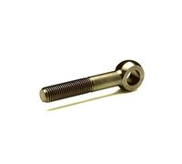 EyeRod Eyepin Swing Bolt - M16 x 100 mm T304 (A2) Stainless Steel - DIN 444 Pack Size : 1