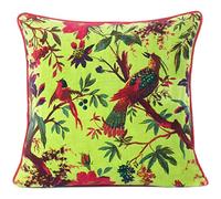 Eyes of India Light Green 20x20 Inch Velvet Floral Flower Bird Throw Pillow Sofa Cushion Cover Case Couch Colorful Boho Chic Bohemian Accent Indian Handmade