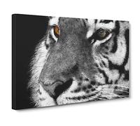 Eyes of the Tiger Canvas Print | Gallery Wrapped 30mm Frame Wall Art | 30x20 inches | Ready to Hang | Modern Animals Picture | Living Room Bedroom Lounge Office